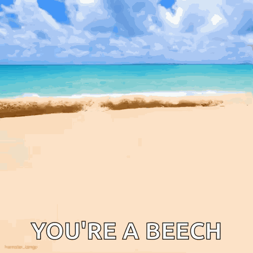 Waves Beach GIF