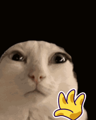 Waving Cat Cute Meme Cat GIF