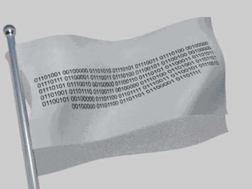Waving Flag Binary Code GIF
