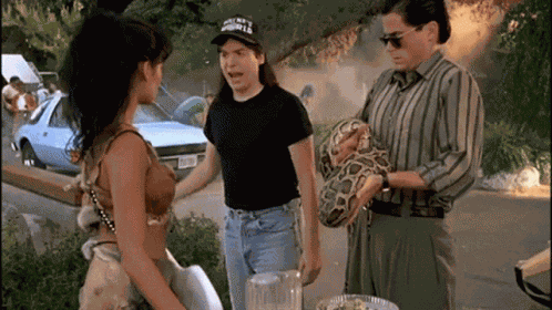 Waynes World Waynes World2 GIF