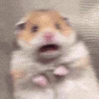 Wayv Xiaojun GIF