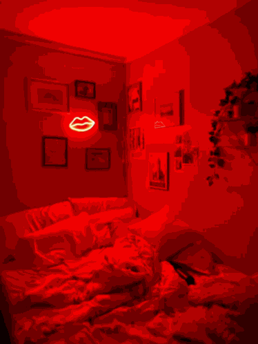 Wcred Redroom GIF