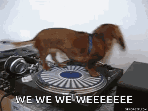 We Are Not The Same Touche GIF