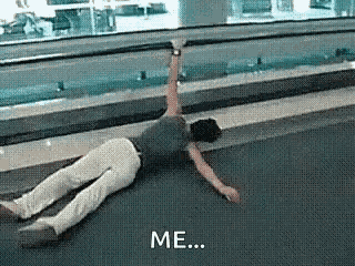 Wearytraveler Delayedflight GIF