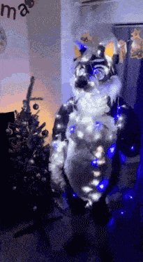 Weaver Christmas GIF