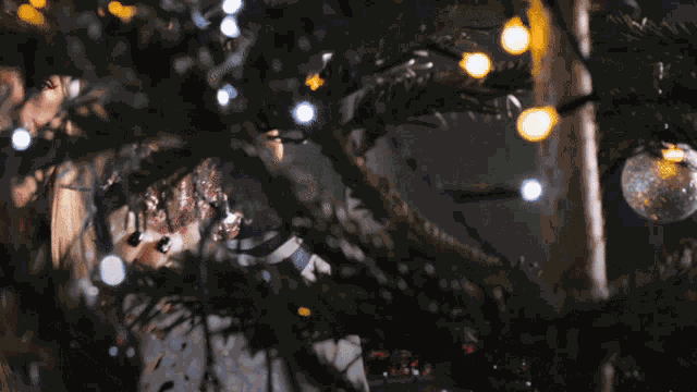 Web Hosting Hostinger GIF