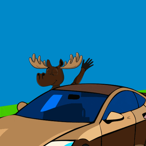 Web3 Moose GIF