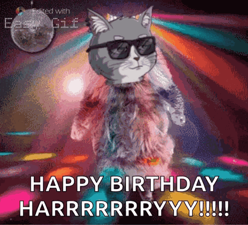 Webcatsociety Web Cat Society GIF