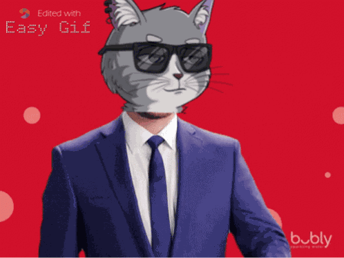 Webcatsociety Web Cat Society GIF