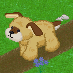 Webkinz Dog GIF