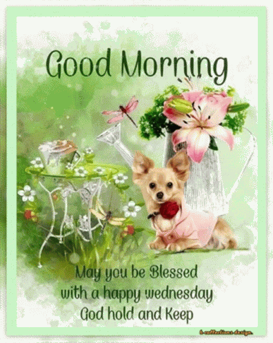 Wednesday Good GIF