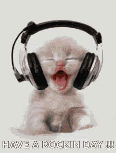 Wednesday Good Morning Wednesday GIF