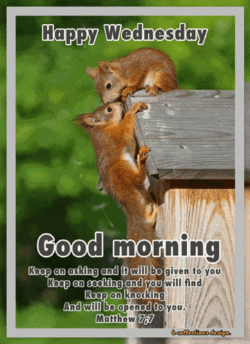 Wednesday Good GIF