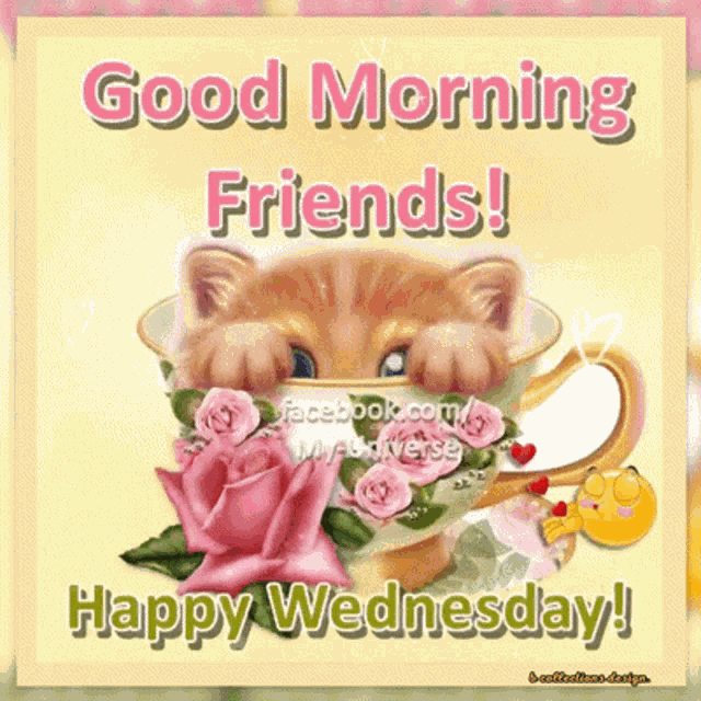 Wednesday Happy GIF