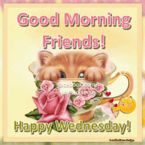 Wednesday Happy GIF