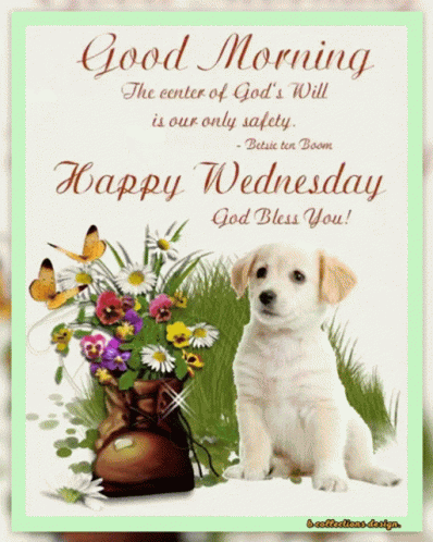 Wednesday Happy GIF