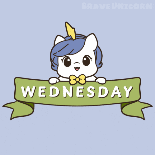 Wednesday Happy Wednesday GIF