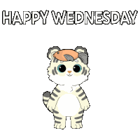 Wednesday Happy Wednesday Sticker