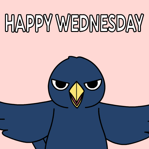 Wednesday Happy Wednesday GIF