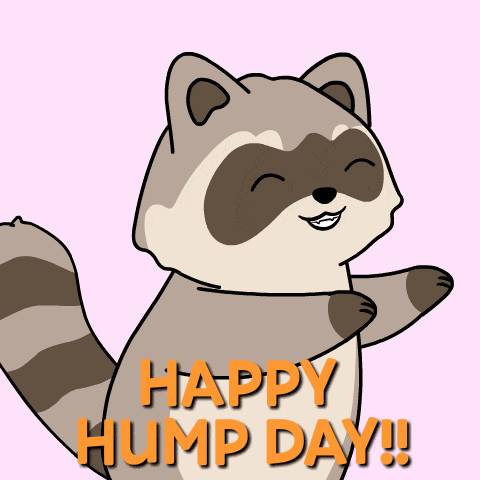 Wednesday Happy Wednesday GIF