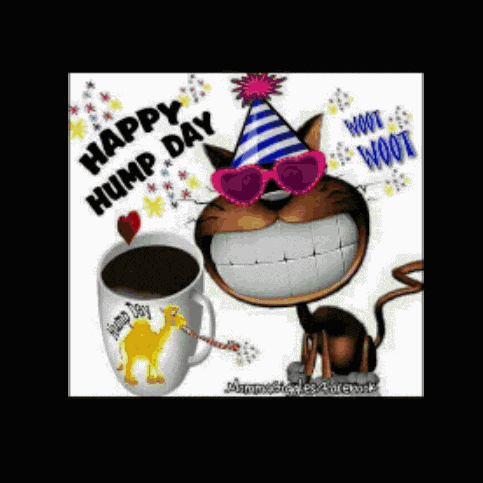 Wednesday Hump Day GIF