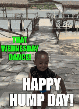 Wednesday Hump Day GIF