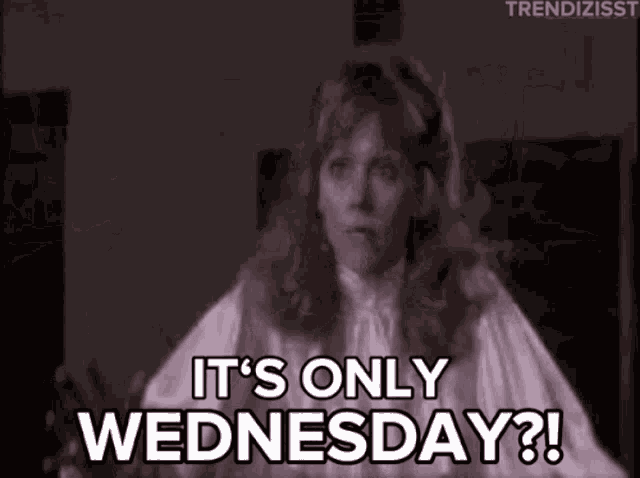 Wednesday Hump Day GIF