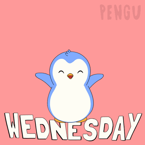 Wednesday Hump Day GIF