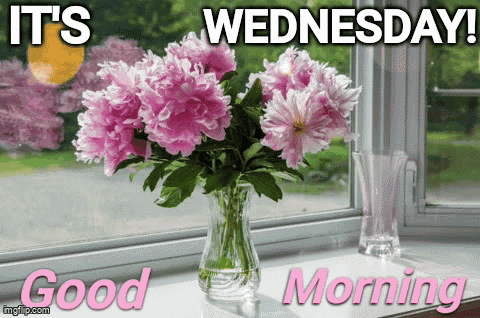 Wednesday Morning GIF