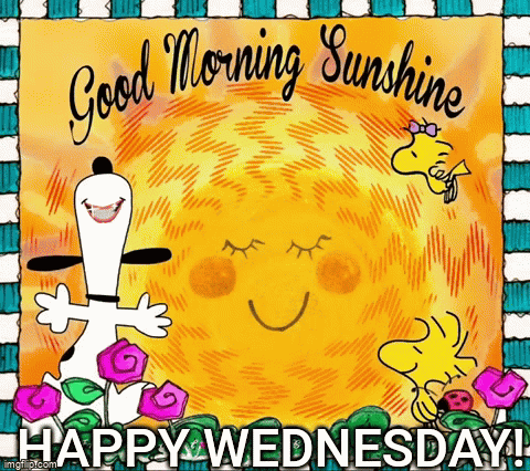 Wednesday Morning GIF