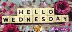 Wednesday GIF