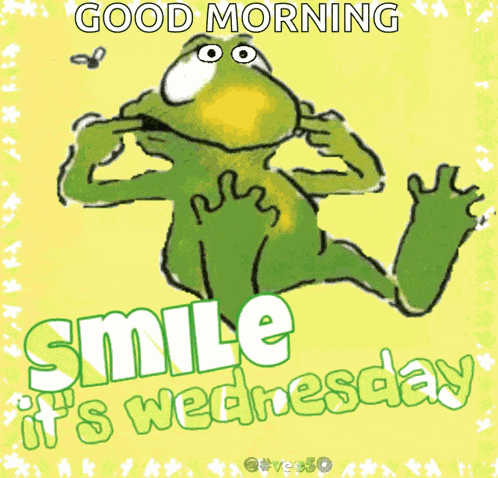 Wednesday Vec50 GIF