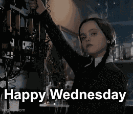 Wednesday Wednesday Addams GIF
