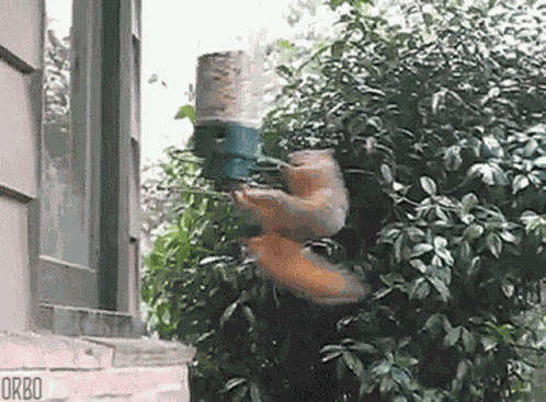 Wee Spin GIF