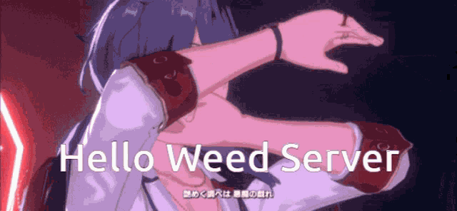 Weed Server Niki Shiina GIF
