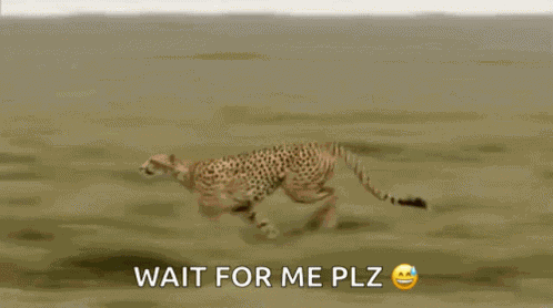 Weeeeee Run Fast GIF