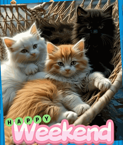 Weekend Happy Weekend GIF