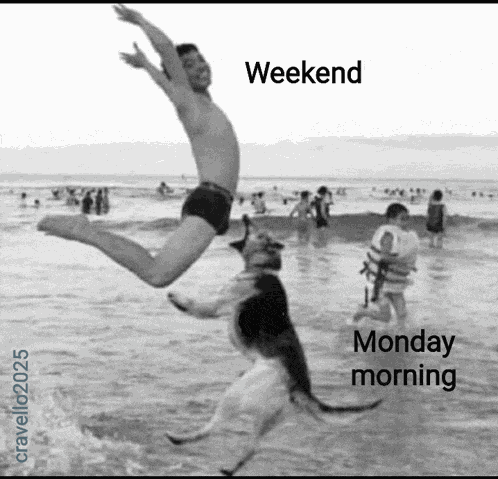 Weekend Is Over Mondays Meme
