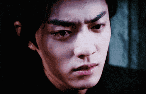 Wei Wuxian Wei Ying GIF