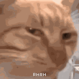 Weird Stare GIF