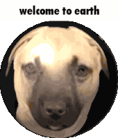 Welcome To Earth Puppy Sticker