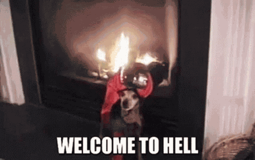 Welcome To GIF