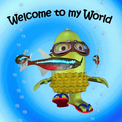 Welcome To My World Let Me Show You GIF