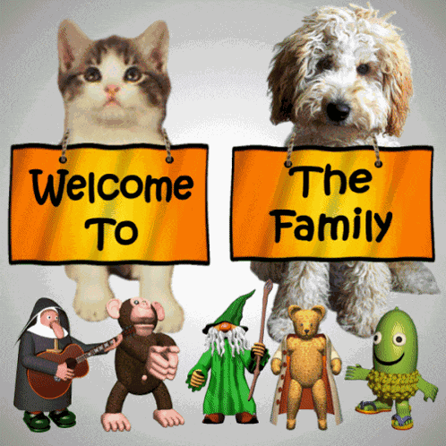 Welcome To The Family You Are Accepted GIF