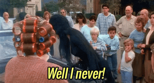 Well I Never (And You Never Will!) - Elvira GIF