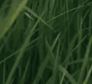 Well Well Well Well GIF