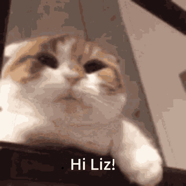 Weloveuliz Royasterr GIF