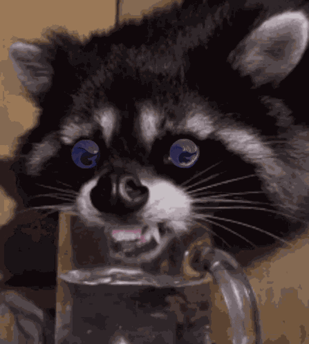 Wen When GIF