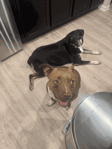 Were Waiting Well Were Waiting Meme