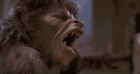 Werewolf Cinema GIF